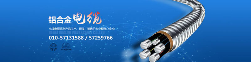 滄州市統(tǒng)計工作規(guī)范化建設(shè)推進會在華倫公司順利召開！