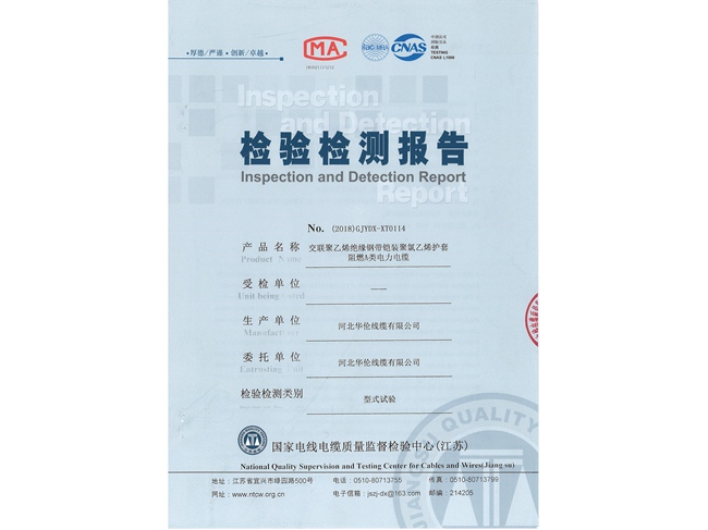 檢驗(yàn)檢測報(bào)告 